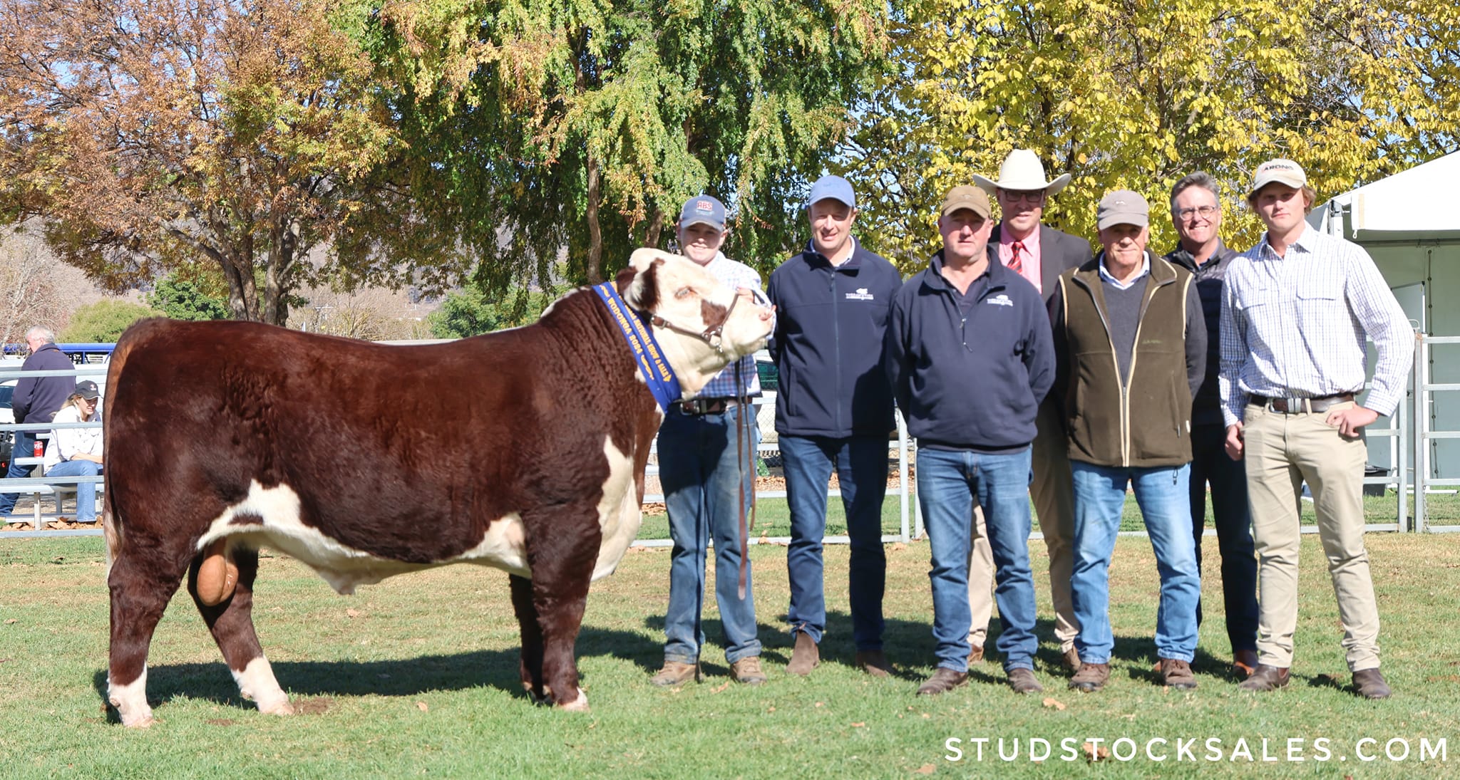 Ardno Urban U223 — $24,000 at Wodonga